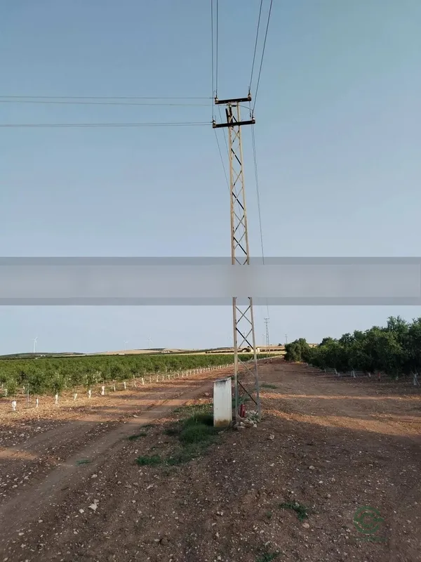 Spot image