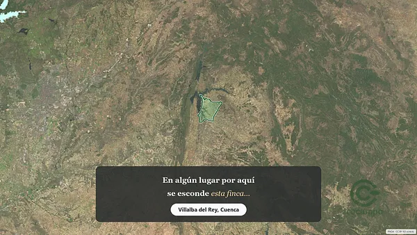 Spot image
