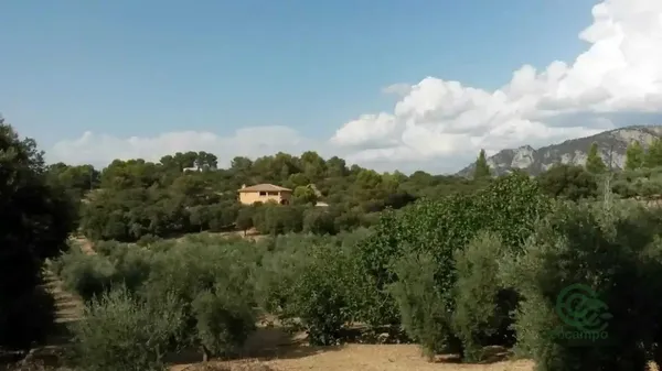 Spot image