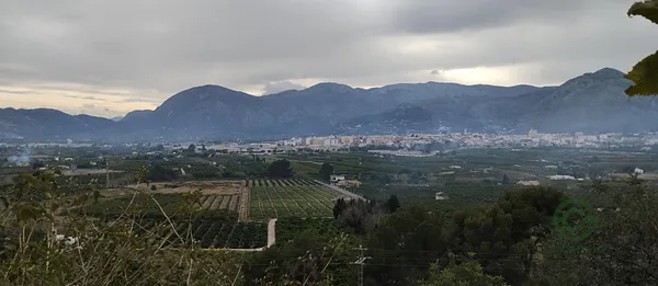 Spot image