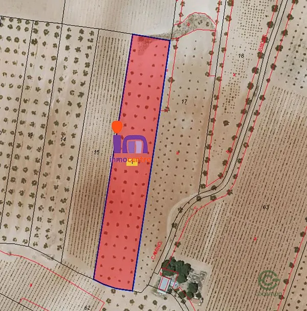 Spot image