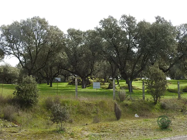Finca rústica de 9 ha en venta en Toledo