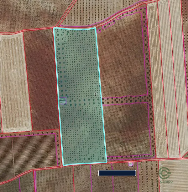 Finca agrícola de 6,1124 ha en venta en Valdepenas, Ciudad real