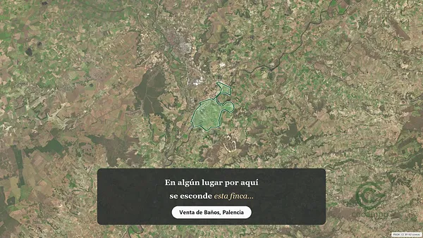 Spot image