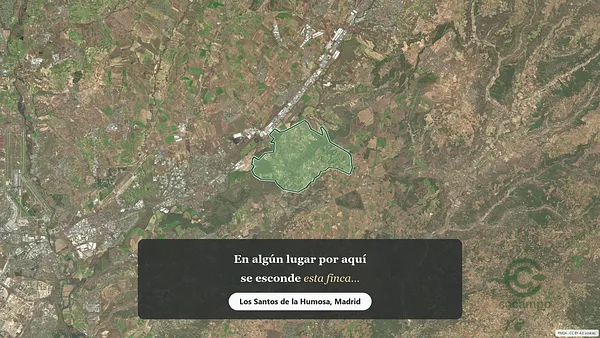 Spot image