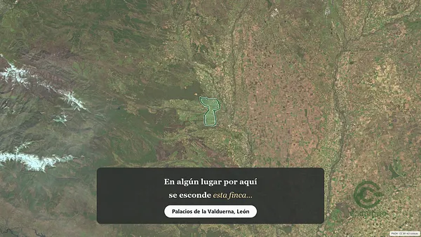 Spot image