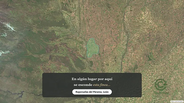 Spot image