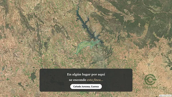 Spot image