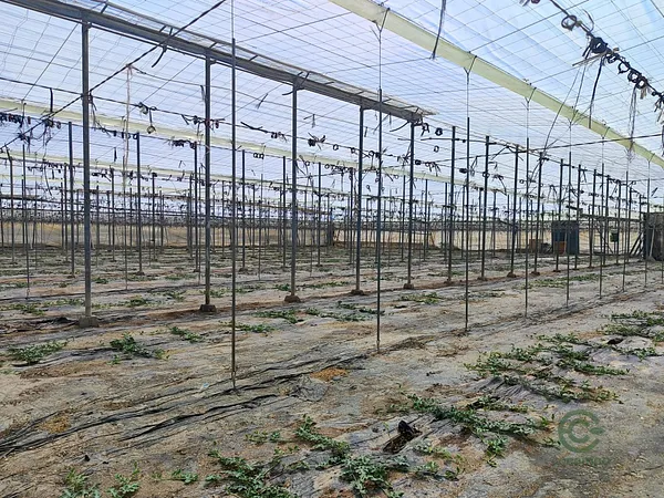 Finca agrícola de 1,05 ha en venta en Almería