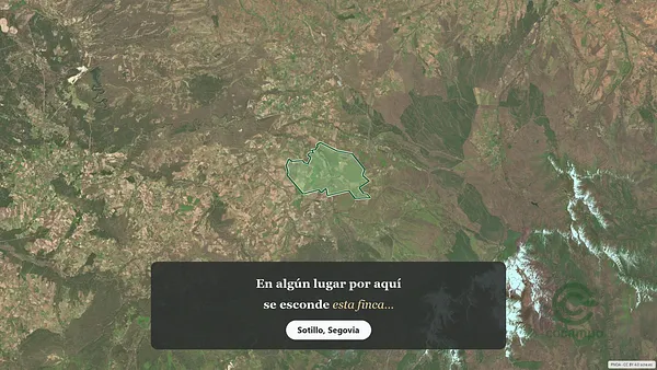 Spot image