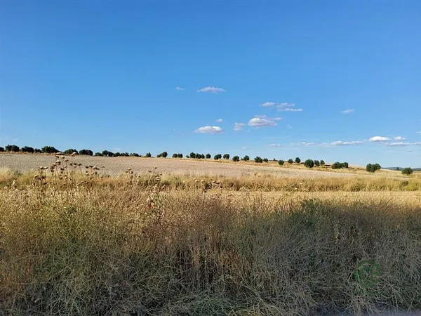 Finca rústica de 0,12 ha en venta en Villamayor de calatrava, Ciudad real