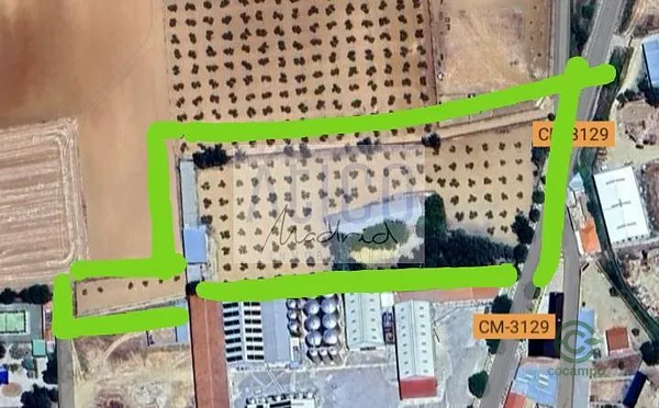 Spot image