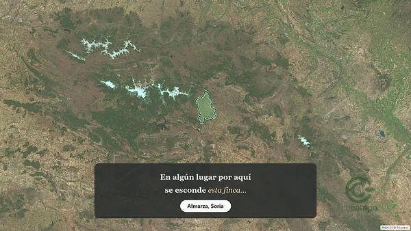 Spot image