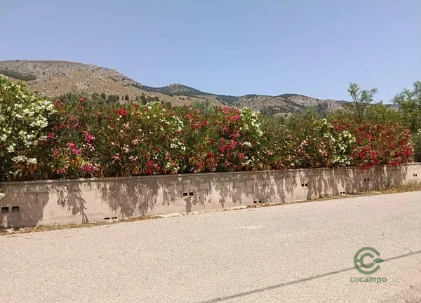 Spot image