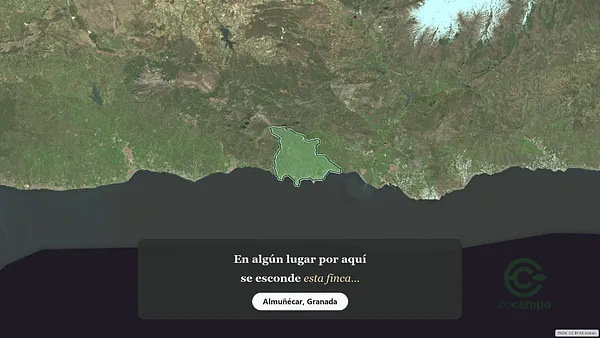 Spot image