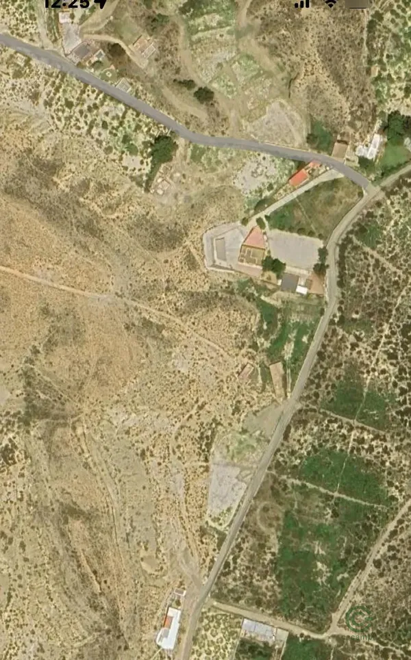 Spot image