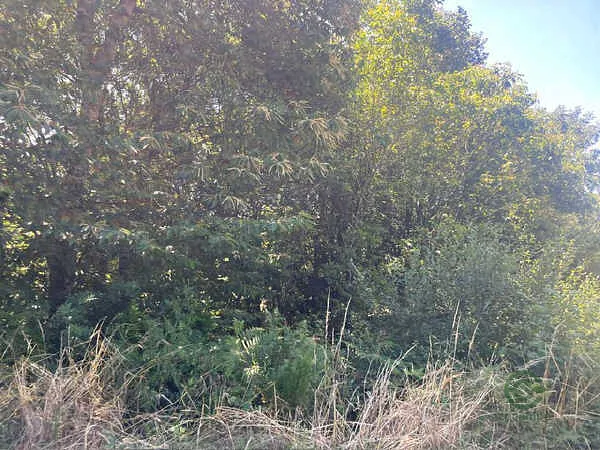Finca rústica de 0,03 ha en venta en A Estrada, Pontevedra