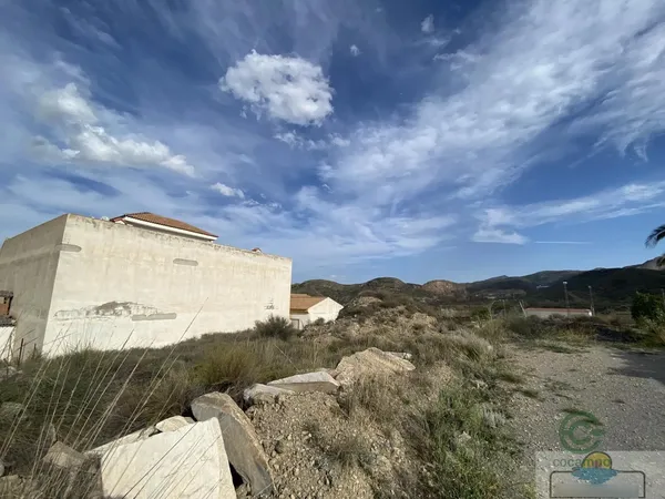 Spot image