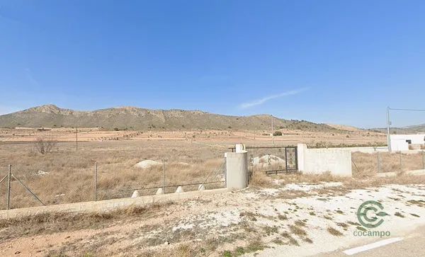 Spot image