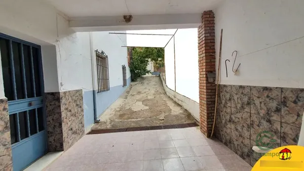 Spot image