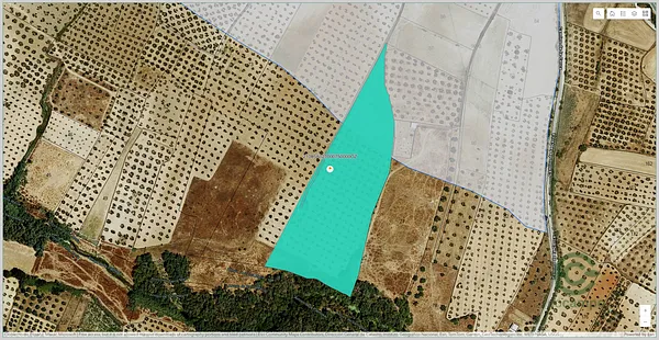 Finca rústica de 6,5164 ha en venta en Almonte, Huelva
