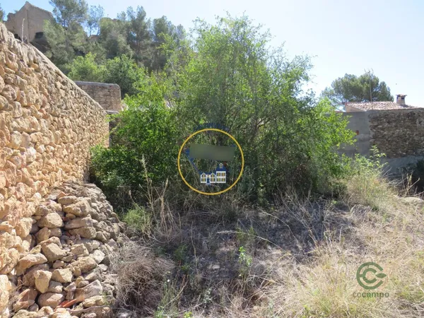 Spot image