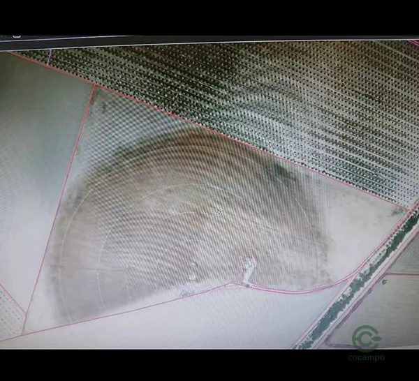 Finca agrícola de 9,1 ha en venta en Albacete