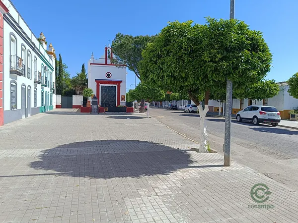 Spot image