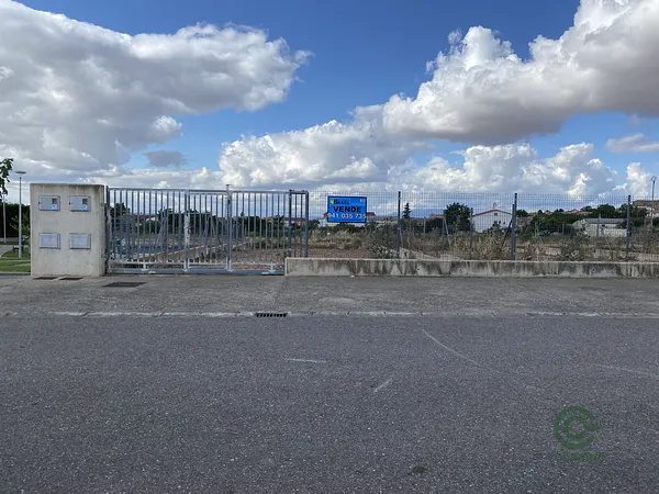 Spot image