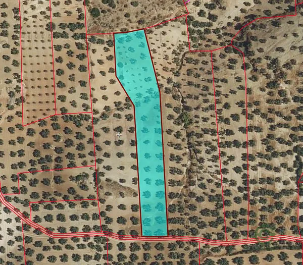 Finca agrícola de 0,64 ha en venta en Córdoba