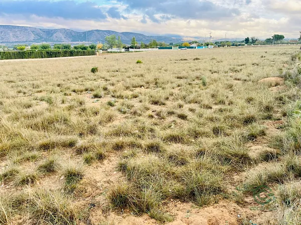 Finca agrícola de 0,9 ha en venta en Villena, Alicante
