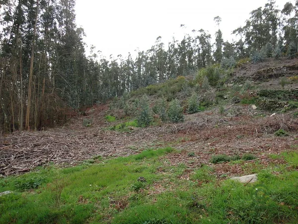 Terreno urbano de 0,1365 ha en venta en Brión, La coruña