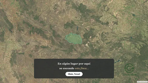 Spot image