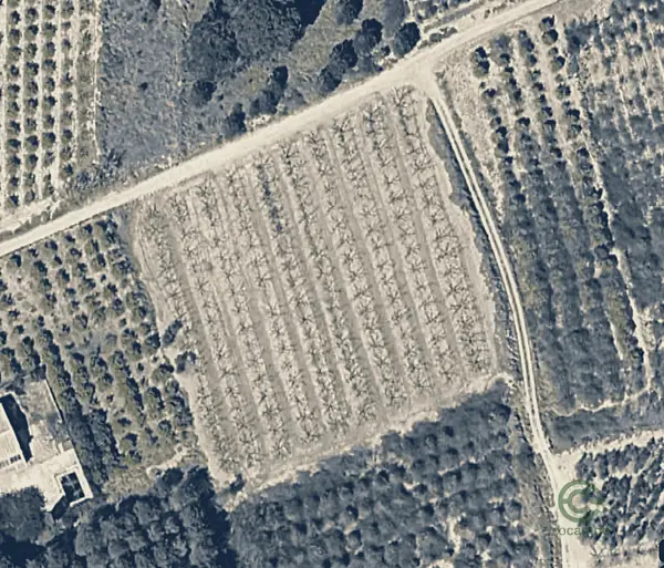 Spot image