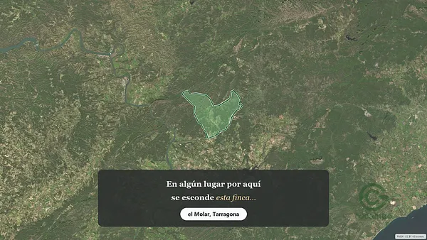 Spot image