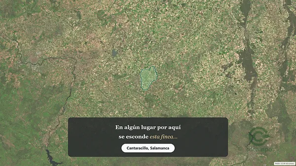 Spot image