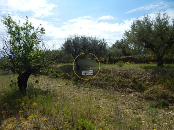 Spot image