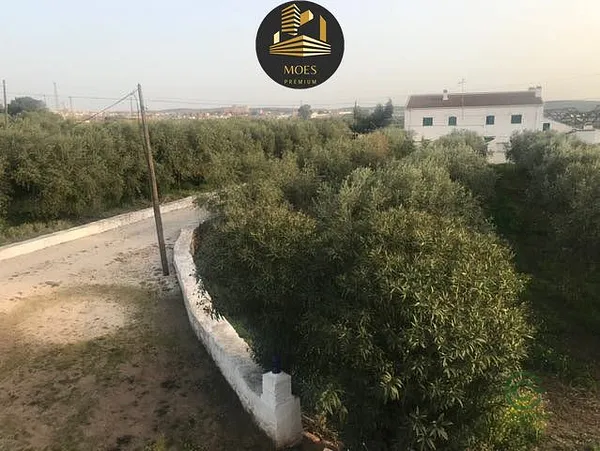 Finca agrícola de 3,3 ha en venta en Linares, Jaen