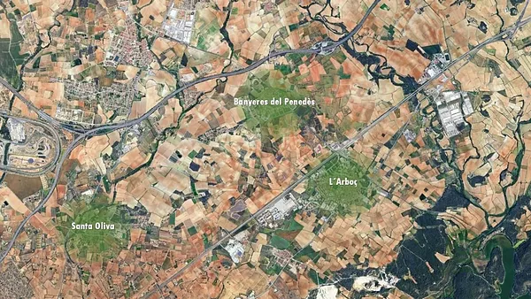 Spot image