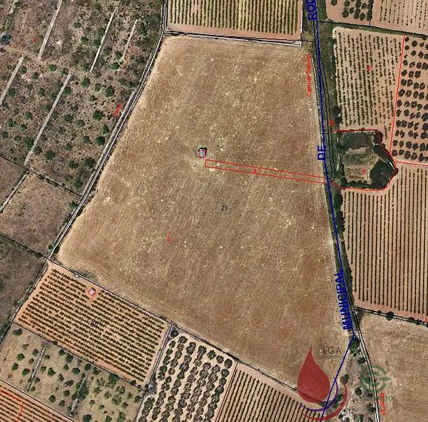 Spot image