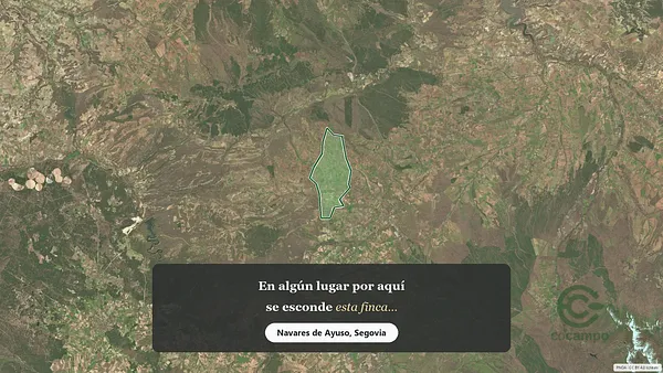 Spot image