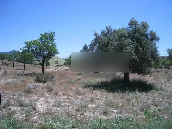 Spot image