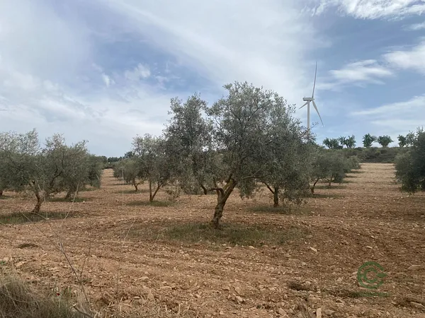 Spot image