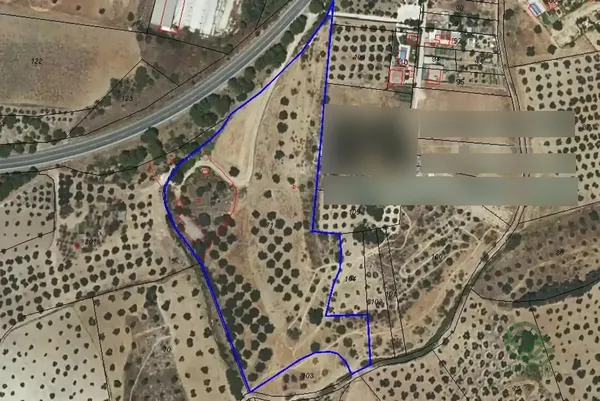 Spot image