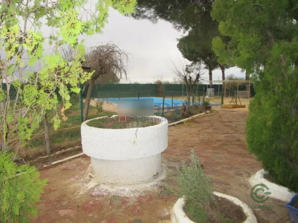 Spot image