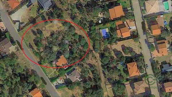 Spot image