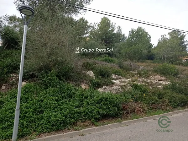 Spot image