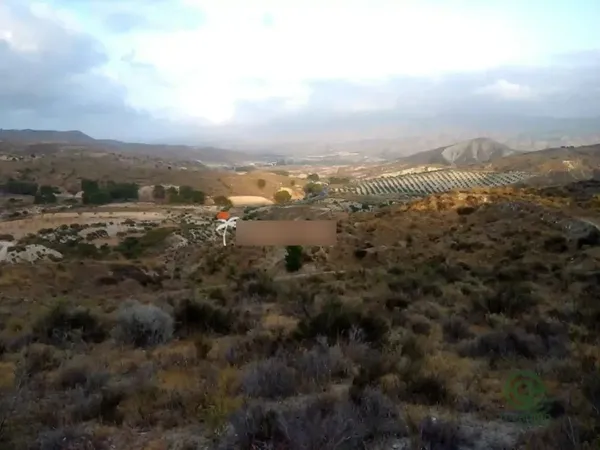 Spot image