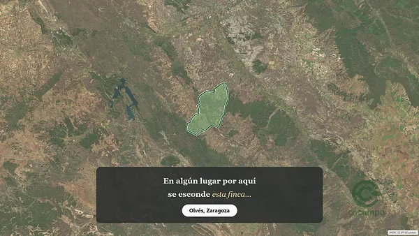 Spot image
