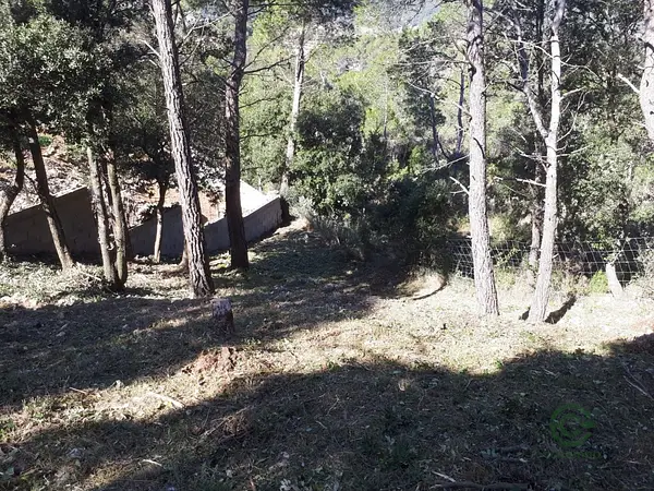 Spot image